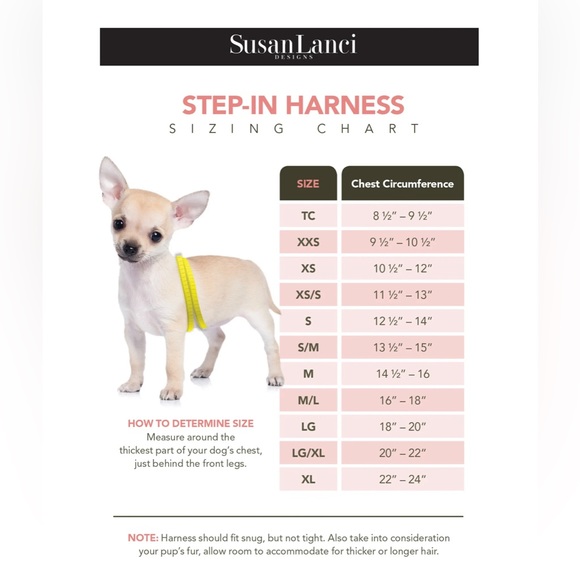 Susan Lanci Bimini Blue Step-In Harness with Stardust and Bow (XXS) - Picture 3 of 3